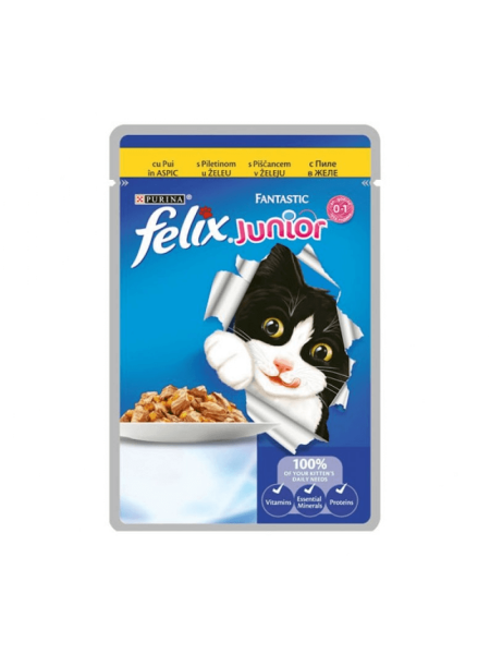 Felix Fantastic cu Pui 100g