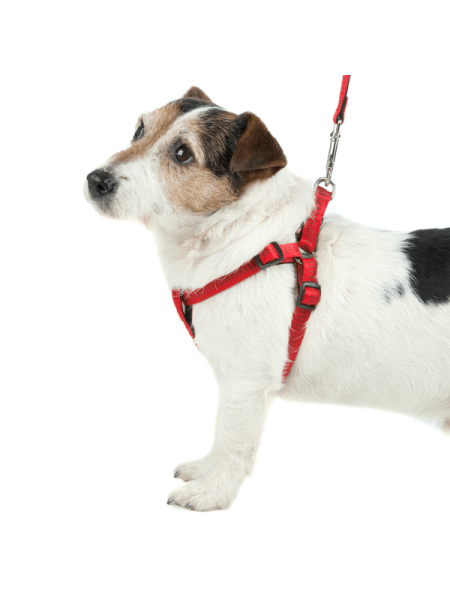 Ham "Soft Grip" rosu S-M